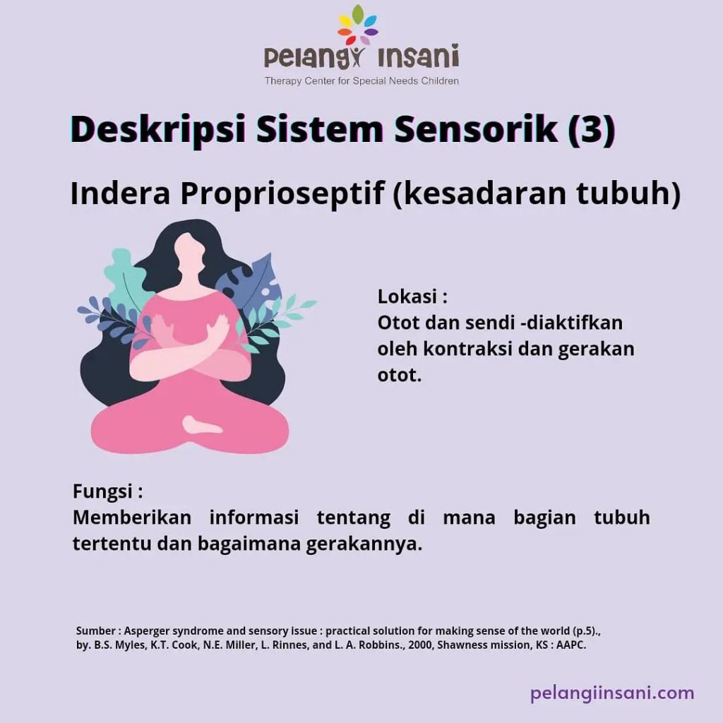 Deskripsi Sistem Sensorik Indra Proprioseptif – Pelangi Insani